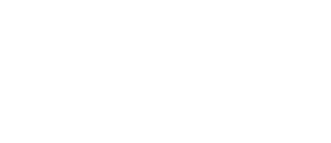 Logo Bibi