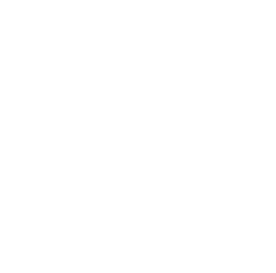 Logo Chiquinho